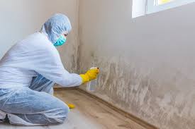 Best Comprehensive Air Testing for Mold Contaminants  in Picayune, MS